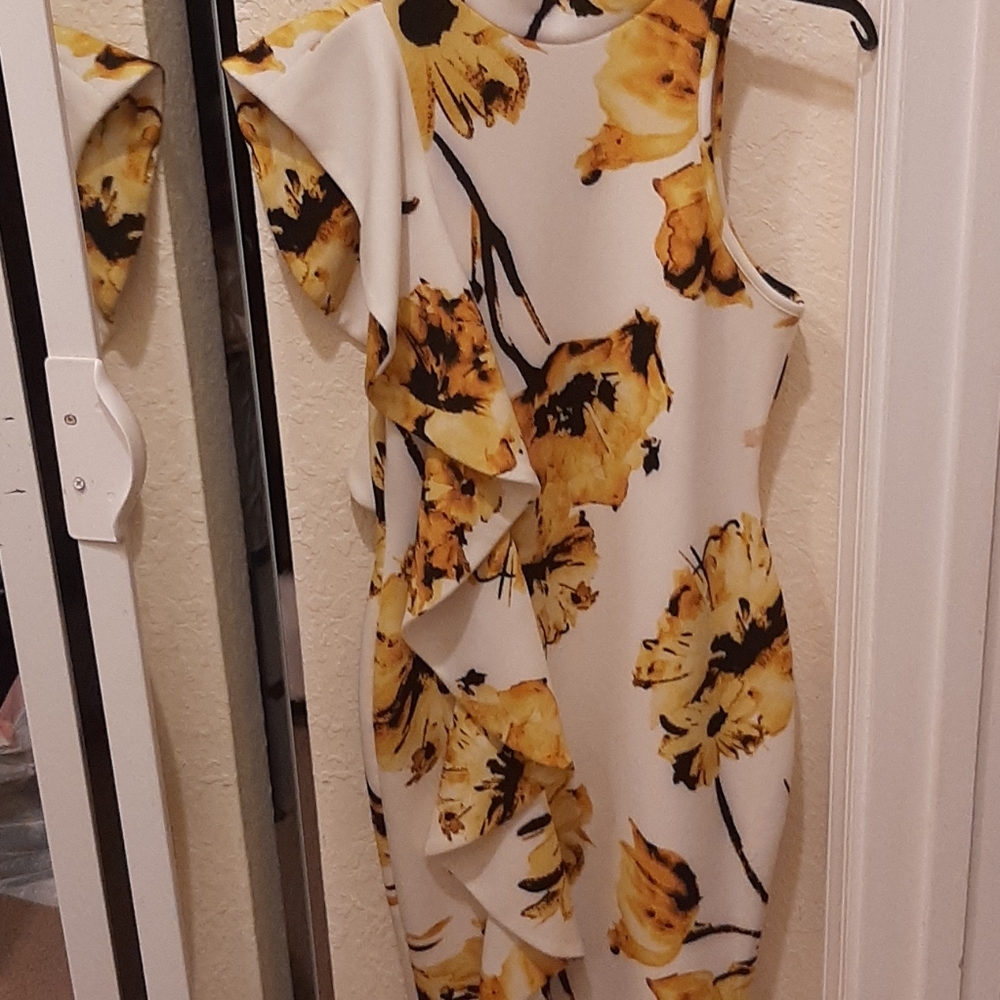 Privy Stylish Ruffled Dress - Picture 3 of 8